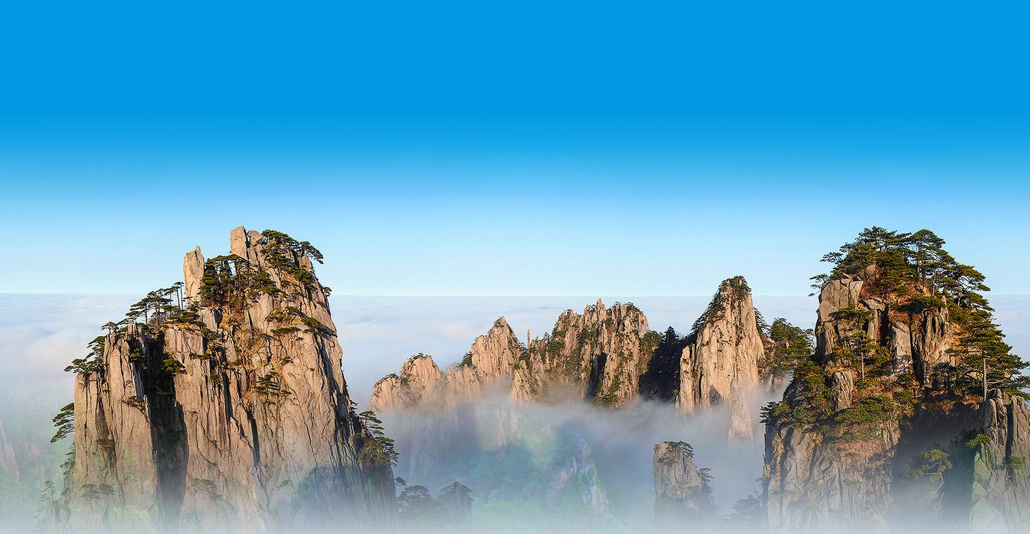 云海之上的黄山峰林，峰顶生长着黄山松